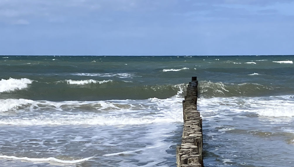 Psychotherapie (HPG)